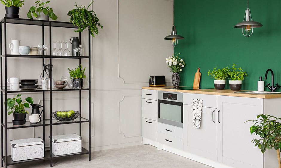 Budget-friendly small house mini kitchen design featuring indoor plants